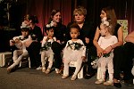 Ballerina's from Dancing Dreams