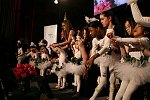 Ballerina's from Dancing Dreams
