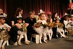 Ballerina's from Dancing Dreams