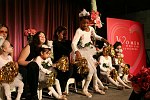Ballerina's from Dancing Dreams